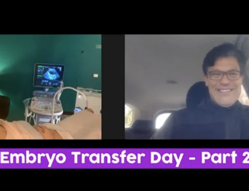 Embryo Transfer Day | This is it! | Part 2